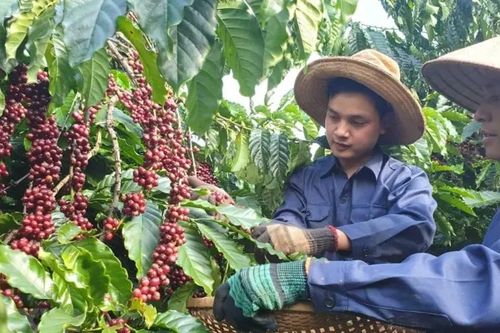 VCCI kiến nghị tháo gỡ vướng mắc thuế giá trị gia tăng