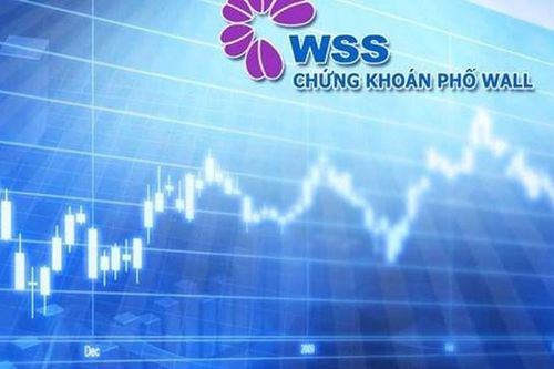 Chứng khoán Phố Wall (WSS) thoái toàn bộ 14,76% vốn tại HAF, Thực phẩm Hà Nội ghi nhận 5 năm lỗ liên tục