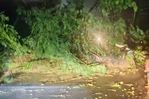 Hàng loạt đèo ở Lâm Đồng sạt lở: Người dân cần biết điều này