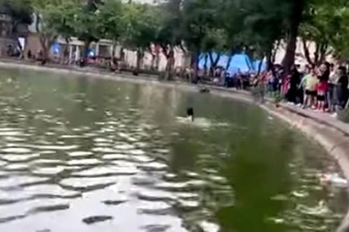 Hà Nội: Cô gái cởi bỏ quần áo, nhảy xuống hồ Hoàn Kiếm rồi đuối nước tử vong