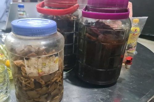 Sáu nạn nhân ngộ độc rượu ở Nghệ An đã qua cơn nguy kịch, chuẩn bị xuất viện