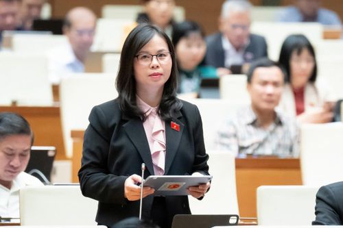 Nhiều đại biểu Quốc hội băn khoăn, lo lắng khi liên tiếp xảy ra mưa lũ, ngập lụt kỷ lục