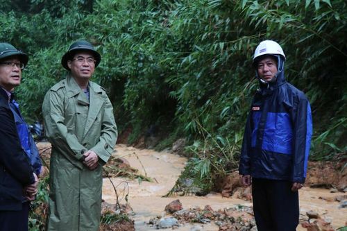 Quảng Ngãi: Khẩn trương khắc phục hơn 120 điểm sạt lở do mưa lớn