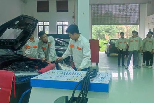 Đào tạo nghề miễn phí: Nâng cao chất lượng nguồn nhân lực để giảm nghèo bền vững