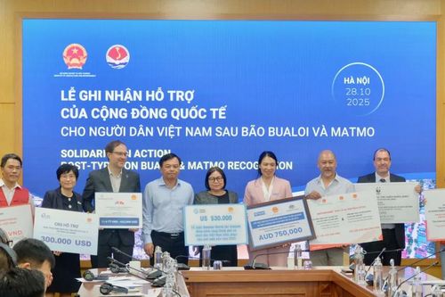 Cộng đồng quốc tế viện trợ hơn 9,6 triệu USD cho Việt Nam khắc phục hậu quả bão Bualoi và Matmo