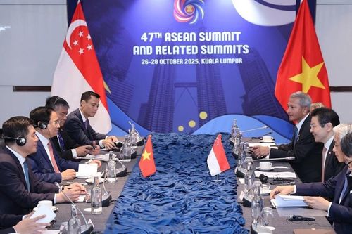 Việt Nam luôn là đối tác quan trọng của Singapore trong khu vực