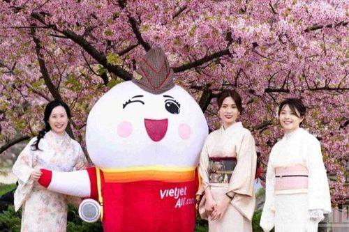 Hòa mình trong sắc màu văn hóa Việt Nam tại Nagoya (Nhật Bản)