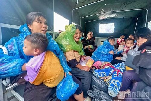 Bí thư Tỉnh ủy Quảng Ngãi kiểm tra, khảo sát tình hình sạt lở núi