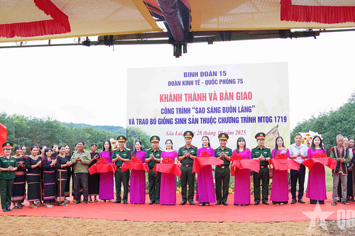 Đoàn Kinh tế - Quốc phòng 75: Bàn giao công trình 'Sao sáng buôn làng' và trao bò giống tặng người dân