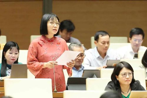 ĐBQH: Chúng ta vẫn chưa thực sự đầu tư tương xứng cho môi trường