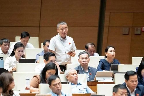 ĐBQH đề xuất điều tra tình trạng dùng gỗ quý tự nhiên làm bàn ghế, tủ, giường