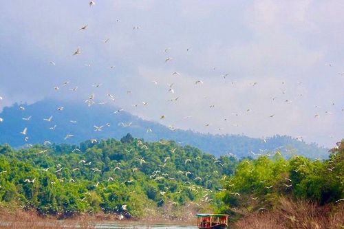 Vườn Quốc gia Vũ Quang: 'Đánh thức' viên ngọc xanh giữa đại ngàn Trường Sơn