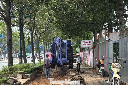 Lộ diện làn đường cho xe đạp đầu tiên ở TPHCM