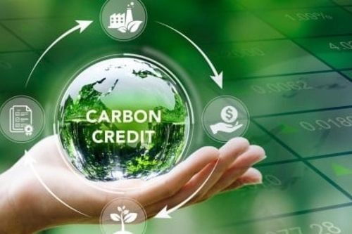 Cần thiết lập, vận hành thí điểm Sàn giao dịch tín chỉ carbon