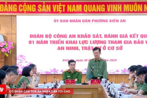 Khảo sát kết quả triển khai lực lượng bảo vệ an ninh, trật tự ở cơ sở