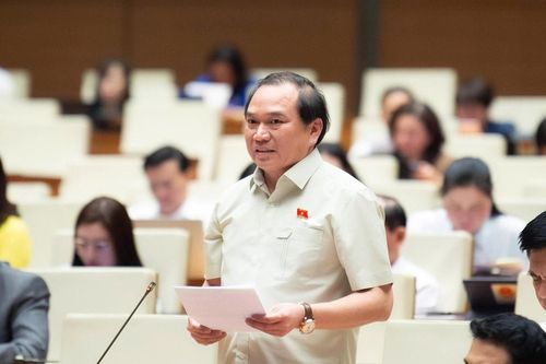 Đề nghị xử lý vi phạm môi trường nghiêm như xử phạt nồng độ cồn