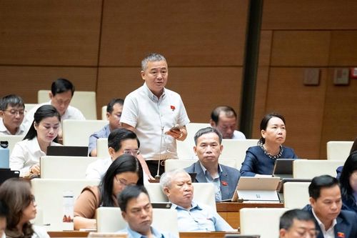 Đại biểu Quốc hội: Phải cố gắng giữ được những cánh rừng tự nhiên vẫn còn