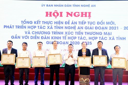 Nghệ An: Gần 62% hợp tác xã hoạt động hiệu quả, gắn với xúc tiến thương mại