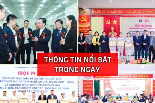 Nghệ An: Thông tin nổi bật ngày 28/10