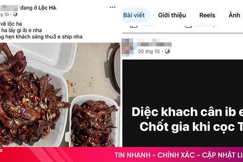 Công khai rao bán chim trời trên 'chợ mạng'