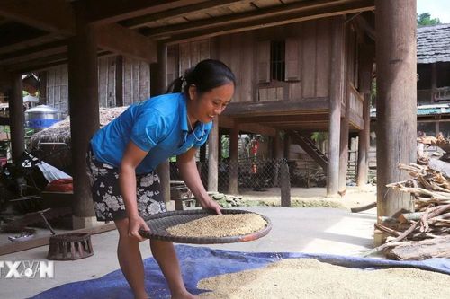 Nghệ An: Bản Na Ngân từng bước 'hồi sinh' sau lũ dữ