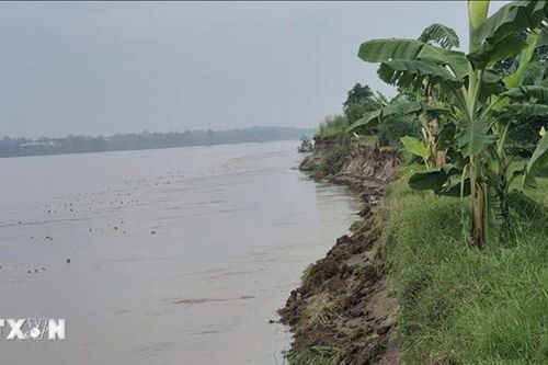 Phú Thọ: Công bố tình huống khẩn cấp đối với sự cố sạt lở bờ đê hữu sông Thao