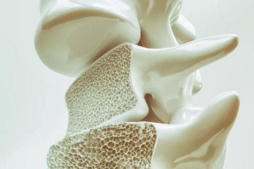 10 loại thực phẩm giúp xương chắc khỏe, phòng ngừa loãng xương hiệu quả
