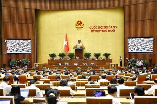 Bảo vệ môi trường cần 'bén rễ' trong nhận thức của mỗi công dân