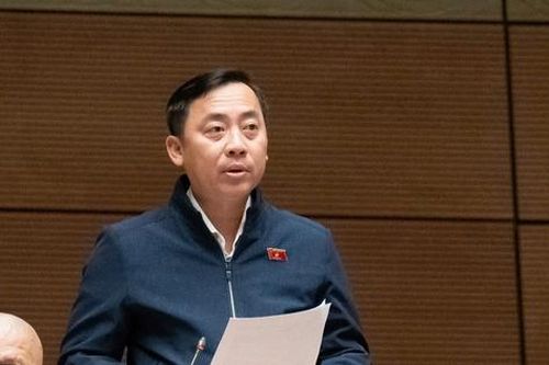 Đề nghị tăng mức phạt, công khai vi phạm bảo vệ môi trường