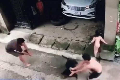Bé gái bị chó lao vào tấn công, người đàn ông liều lĩnh lấy thân mình che chắn