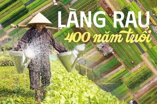 Làng rau 400 năm tuổi của Việt Nam