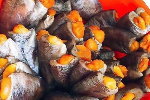 Loại cá bụng đầy trứng vàng ươm là đặc sản miền Tây, phơi khô trộn gỏi xoài ăn ngon quên lối về