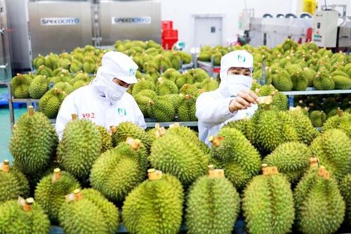ASEAN và Trung Quốc nâng cấp hiệp định thương mại tự do