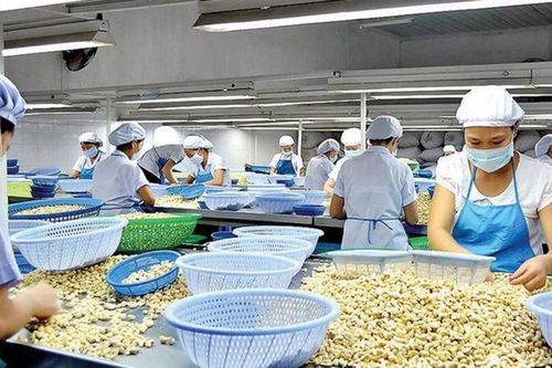 4 năm thực thi UKVFTA: Xuất khẩu Việt Nam bứt tốc, tăng trưởng kép 10%/năm