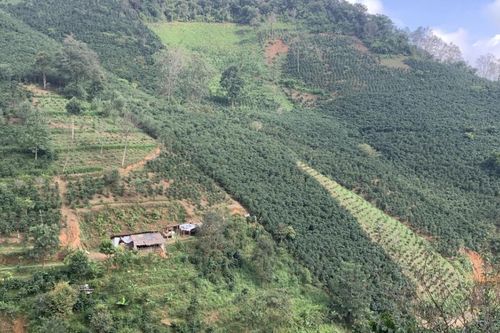 Chuyển đổi nông nghiệp sinh thái ở Việt Nam: Kiến tạo tương lai xanh