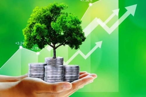 Kiến nghị đưa 'GDP xanh', 'tăng trưởng carbon thấp' vào hệ thống chỉ tiêu phát triển quốc gia