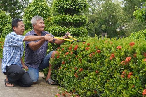 Hết lòng vì màu xanh quê hương
