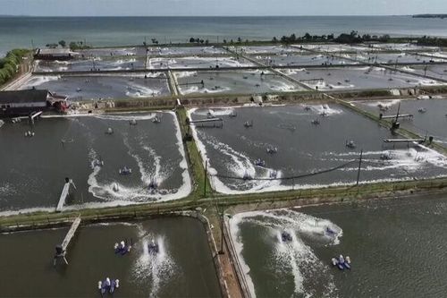 Indonesia di dời cư dân và khử nhiễm phóng xạ Cesium-137