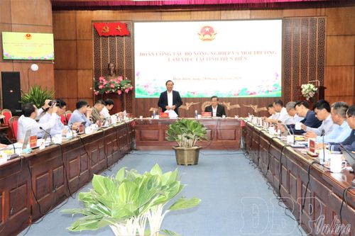 Chú trọng công tác quy hoạch, đảm bảo sinh kế lâu dài cho người dân