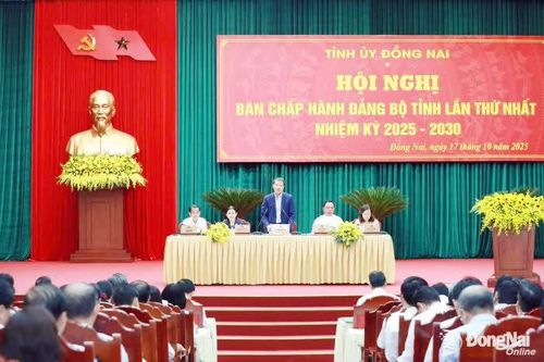 Phấn đấu hoàn thành vượt mức các chỉ tiêu năm 2025
