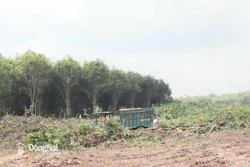 Thúc đẩy giải phóng mặt bằng Dự án Đường cao tốc Gia Nghĩa - Chơn Thành