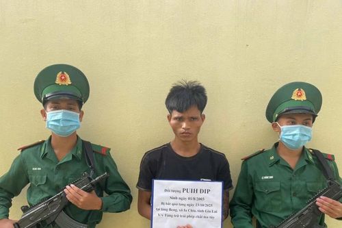 Gia Lai: Bộ đội Biên phòng khởi tố vụ án tàng trữ trái phép chất ma túy