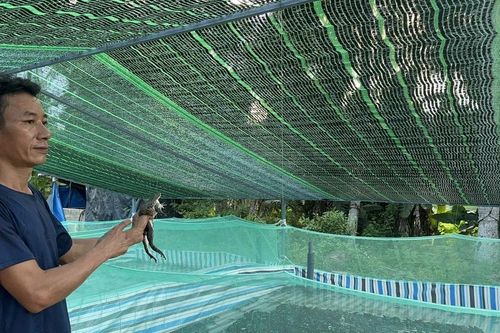 Gia Lai hỗ trợ ngư dân chuyển đổi nghề, bảo vệ sinh thái biển