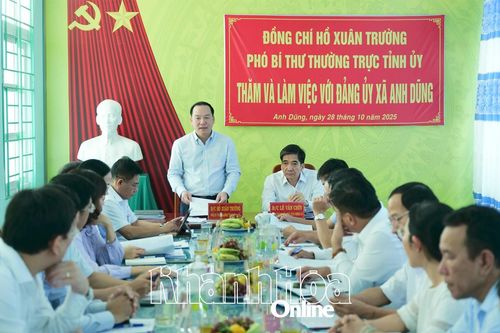 Phó Bí thư Thường trực Tỉnh ủy Hồ Xuân Trường làm việc với Đảng ủy xã Anh Dũng