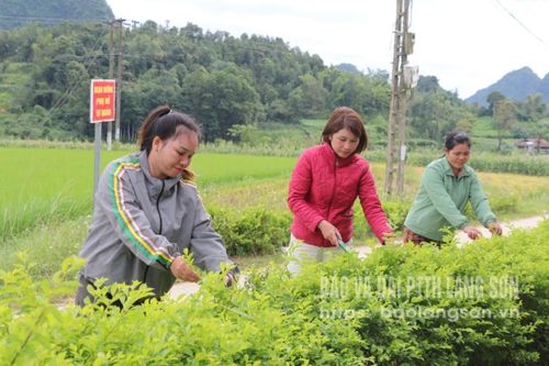 Bóng hồng Nà Cái khéo dân vận