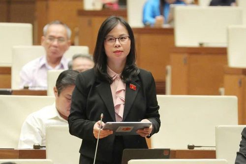 Đại biểu Chu Thị Hồng Thái: Đầu tư cho bảo vệ môi trường là đầu tư cho sự phát triển bền vững của đất nước
