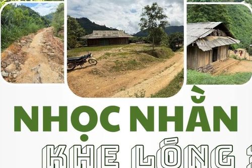 Nhọc nhằn Khe Lóng 3