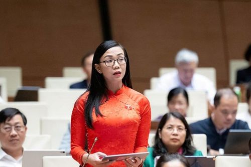 ĐBQH Lâm Đồng Trịnh Thị Tú Anh đề nghị áp dụng các công cụ kinh tế trong bảo vệ môi trường