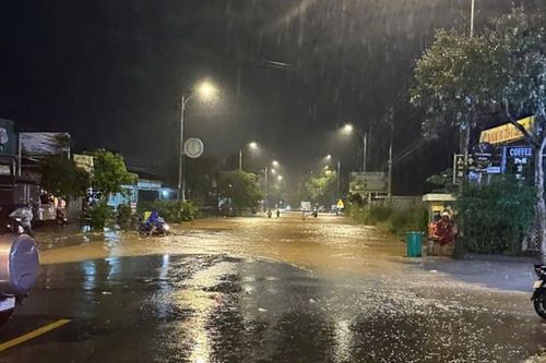 Hiệp Thạnh thiệt hại nặng nề do mưa lớn, 200 ha rau màu mất trắng