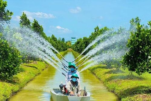 Đồng Tháp tiên phong tái cơ cấu nông nghiệp, nâng thu nhập cho nông dân